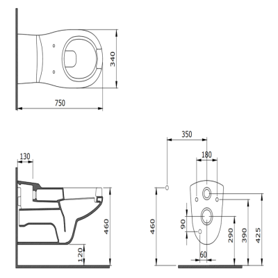 Bocchi Bedensel Engelli Parlak Siyah Asma Klozet - BOCCHI (1)