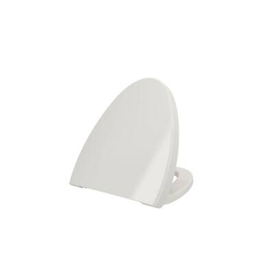 Bocchi Etna Asma Klozet Kapağı Parlak Bisküvi A0325-014 - BOCCHI