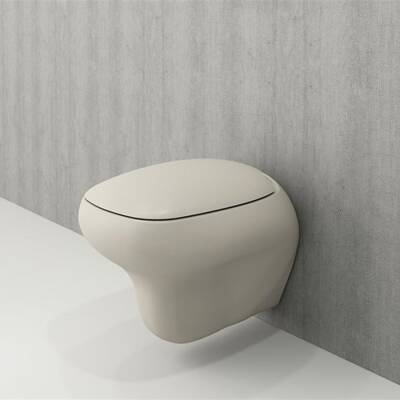 Bocchi Fenice Asma Klozet Mat Yasemin Kapak Hariç 1166-007-0128 - BOCCHI (1)