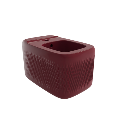 Bocchi New Age Asma Bide P. Burgonya Bordosu - BOCCHI