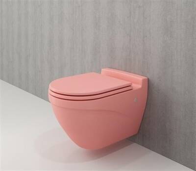 Bocchi Taormina Arch Asma Klozet Mat Somon Kapak Hariç 1012-032-0128 - BOCCHI (1)