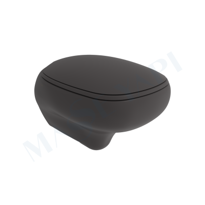 Fenice Asma Klozet - Mat Antrasit Set (Kapak Dahil ) - BOCCHI