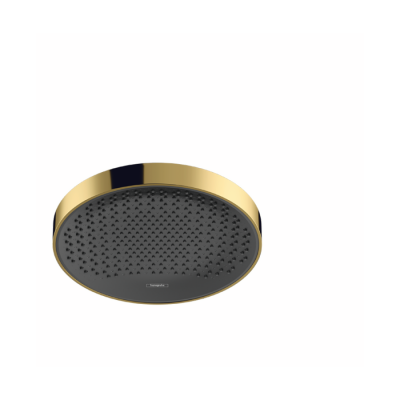 HansGrohe Rainfinity Tepe Duşu 250 1Jet - 26228990 - HANSGROHE